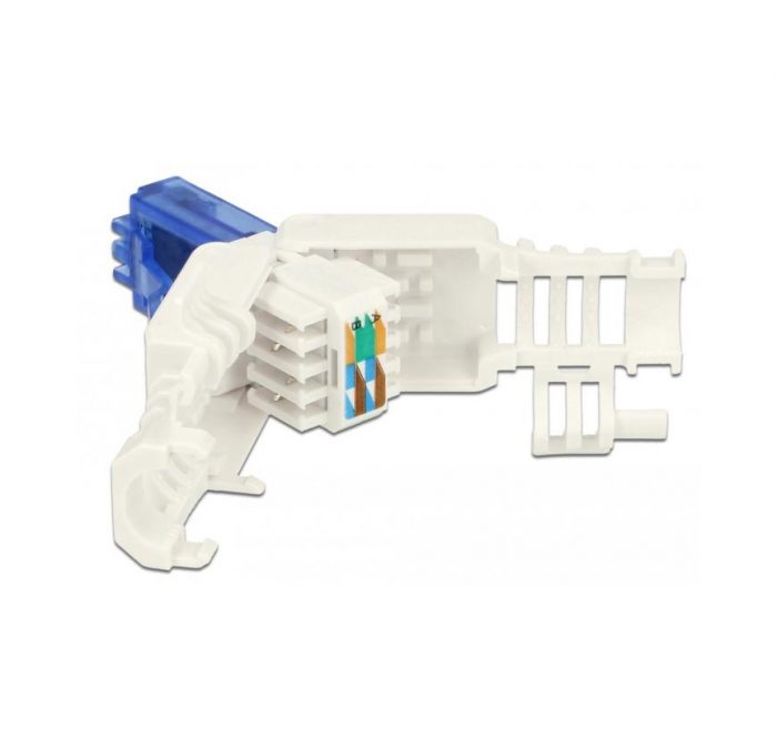 DELOCK RJ45 Klapstekker Cat.6 UTP | 2 Stuks