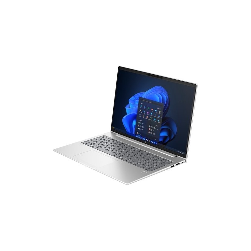 HP ProBook 460 G11 - Afbeelding 3